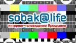 В Ярославле появилось интернет-телевидение - 
