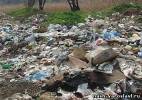 Неизвестные устроили свалку опасных отходов в Ярославском районе