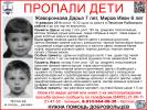 Возобновлены поиски детей, пропавших в Ярославской области
