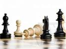 Международный шахматный турнир стартует в Ярославле