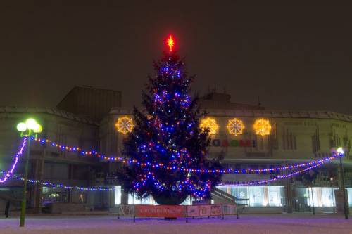 В Ярославле в торжественной обстановке установят главную новогоднюю елку