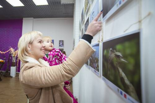 Фотовыставка «Природа смотрит на тебя» открыласьв Ярославле