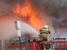 При пожаре на улице Рябиновой погиб человек