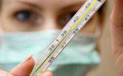 В Ярославском регионе было выявлено 20 случаев заболевания свиным гриппом