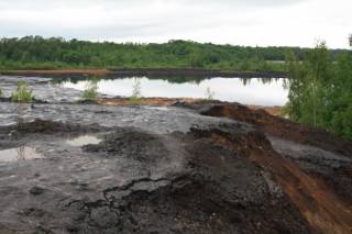 В Ярославской области введен режим ЧС для ликвидации угрозы экологической катастрофы