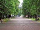 Архитекторам не нравятся проекты реконструкции парков Ярославля
