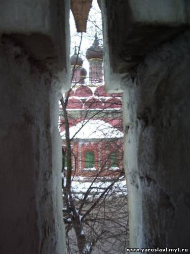 IMGP2918