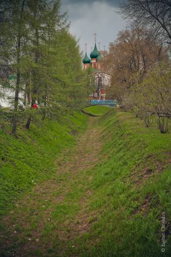 IMG_7786